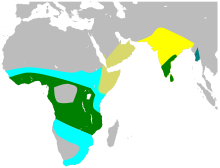 Migration pattern:
Legend: dark green - year round; yellow - summer only; blue - winter; cream - passage only 